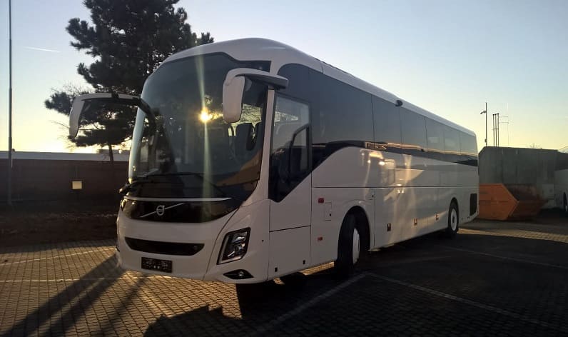 Algarve: Bus hire in Portimão in Portimão and Portugal