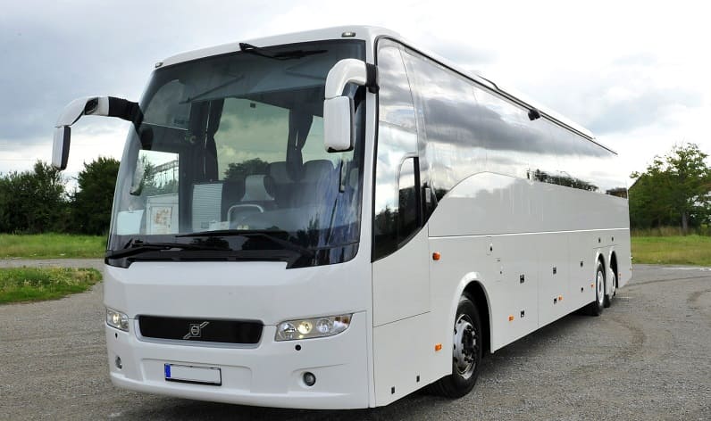 Portugal: Buses agency in Centro in Centro and Entroncamento