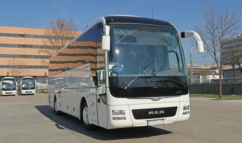Centro: Buses operator in Marinha Grande in Marinha Grande and Portugal