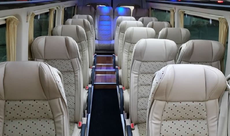 Portugal: Coach company in Centro in Centro and Caldas da Rainha