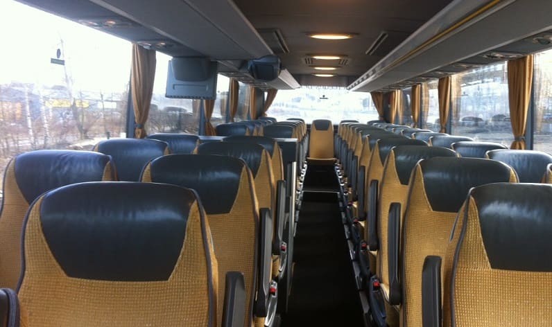 Portugal: Coaches company in Alentejo in Alentejo and Vila Nova de Santo André